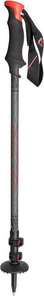 Carbonium Tour Poles