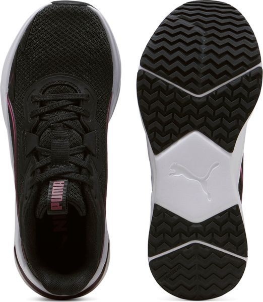 Disperse XT 4