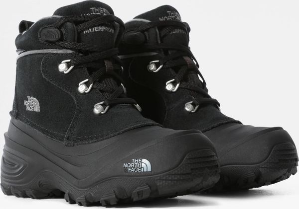 Y Chilkat Lace II