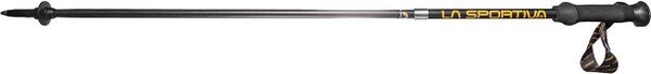Trail Speed Carbon Poles