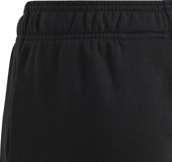 Unisex Essentials Big Logo Cotton Pant Regular Fit