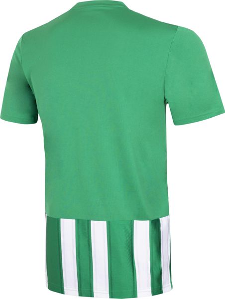 Striped 21 Jersey