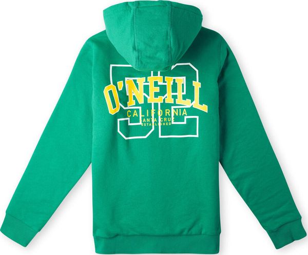 Surf State Sherpa Lined Hoodie
