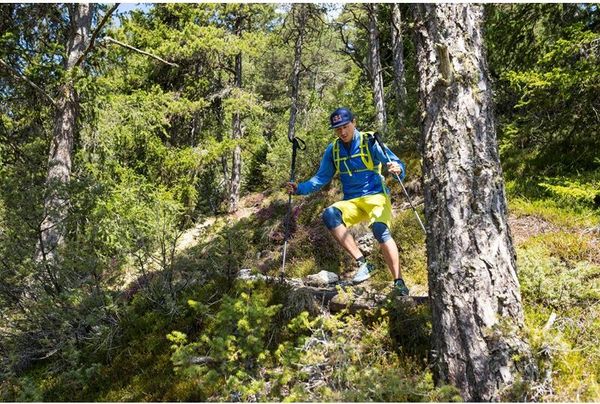 Carbonium ALP Speed Poles