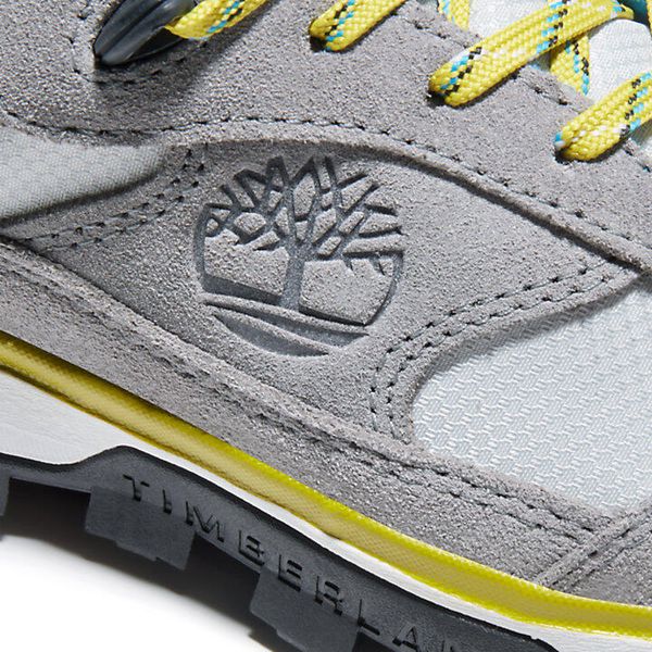 Trail Trekker Low GTX