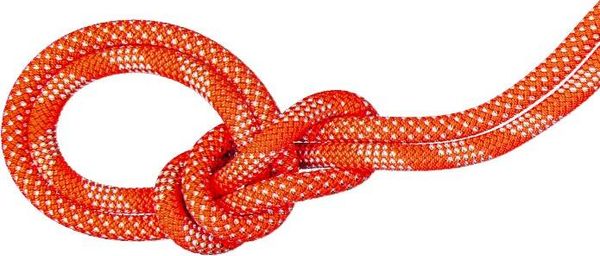 9.8 Crag Classic Rope