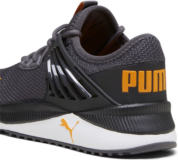 Pacer Future