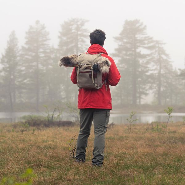 Nordmarka Pants