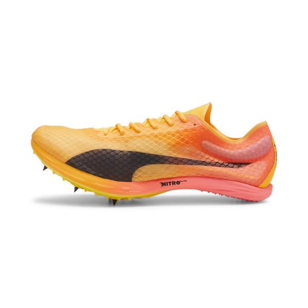 Evospeed Distance Nitro Elite+ 4