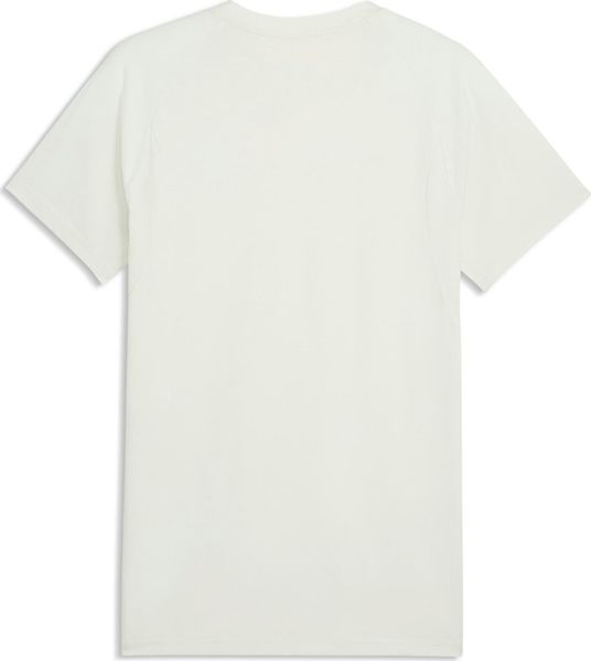 Fcsp Evostripe Tee