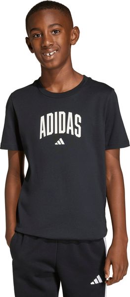 Collegiate Graphic T-shirt Junior