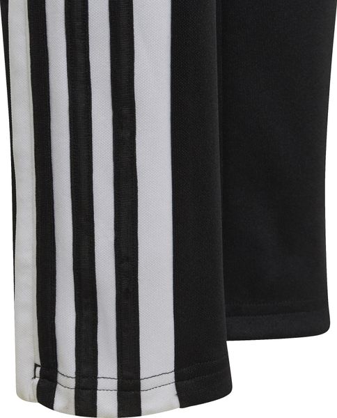 Squadra 21 Training Pants