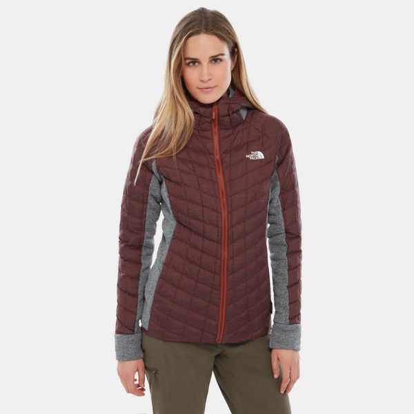 Women’s Thermoball Gordon Lyons Hoodie