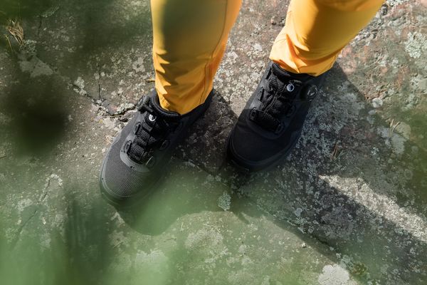 Pallas W+ X-stretch Lite Pants