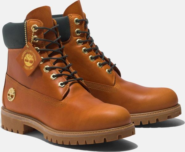 Mens 6 Inch Premium Boot