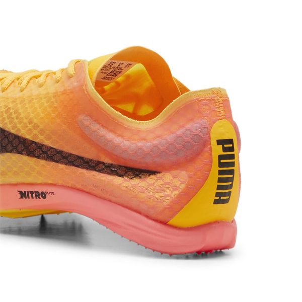 Evospeed Distance Nitro Elite+ 4
