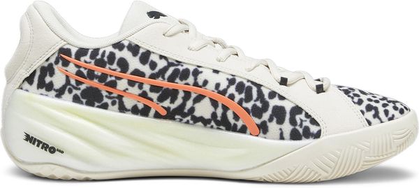 All-pro Nitro Clyde's Closet