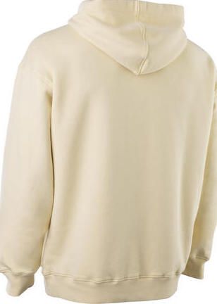 Hoody Ionic Men