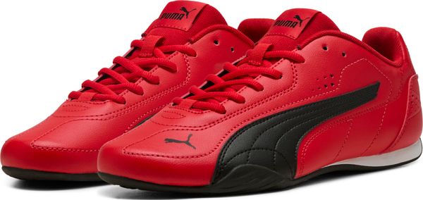 Puma Catch