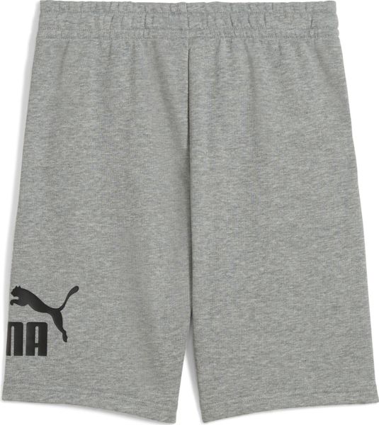 Essentials No. 1 Logo Shorts TR B
