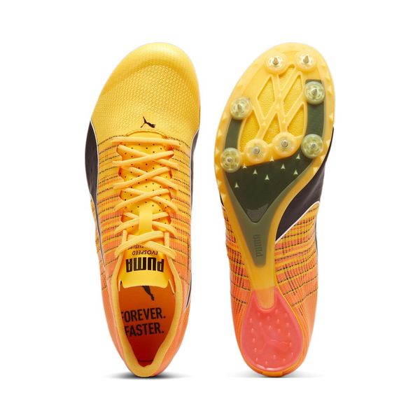 Evospeed Future 6