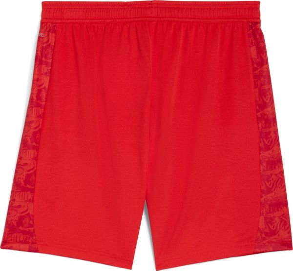 Fcsp Shorts Replica