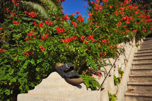 Arizona Suede Leather Unisex