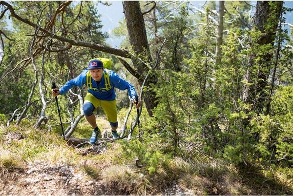 Carbonium ALP Speed Poles