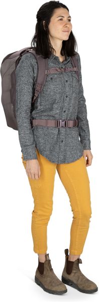 Porter 30
