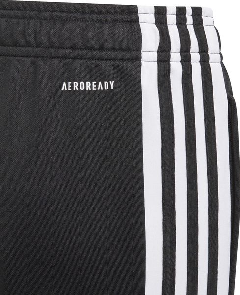 Squadra 21 Training Pants