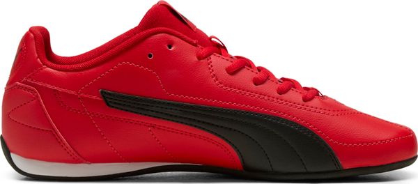 Puma Catch