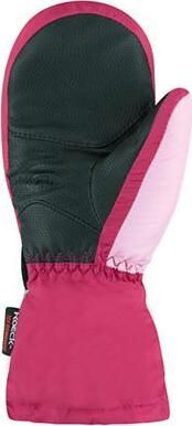 Altai Mitten