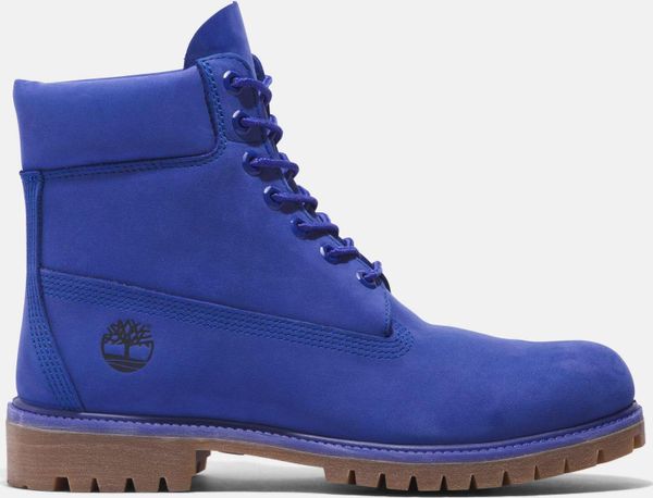 Mens 6 Inch Premium Boot